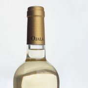 Ojalá Siempre Blanco 2017